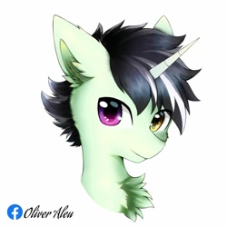 Size: 2000x2000 | Tagged: safe, artist:aleurajan, oc, oc only, pony, unicorn, bust, chest fluff, ear fluff, heterochromia, high res, horn, simple background, smiling, solo, unicorn oc, white background