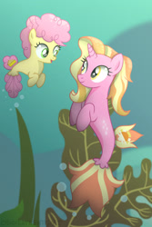 Size: 1024x1536 | Tagged: safe, artist:chocolateswirlyt, li'l cheese, luster dawn, earth pony, pony, seapony (g4), unicorn, g4, the last problem, bubble, crepuscular rays, curly mane, dorsal fin, female, fish tail, flowing mane, green eyes, horn, looking at each other, ocean, open mouth, seaponified, seapony luster dawn, seaweed, smiling, species swap, sunlight, tail, underwater, water, yellow eyes