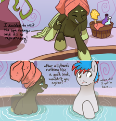 Size: 500x518 | Tagged: safe, artist:arboraims, oc, oc:ickle muse, pegasus, pony, ask ickle muse, female, lowres, male, mare, ponyville spa, stallion, towel