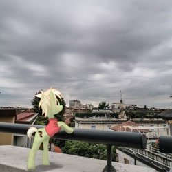 Size: 1080x1080 | Tagged: safe, oc, oc only, oc:milli, earth pony, pony, eponafest, irl, italy, milan, photo, ponies in real life, solo