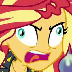 Size: 1400x1400 | Tagged: safe, screencap, sunset shimmer, equestria girls, equestria girls specials, g4, my little pony equestria girls: better together, my little pony equestria girls: rollercoaster of friendship, derp, it's not about the parakeet, meme, rage, rageset shimmer