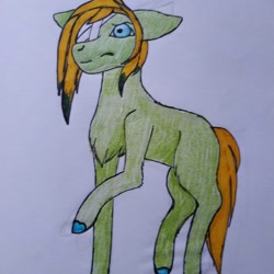 Size: 1080x1080 | Tagged: safe, artist:_shotataarts_, oc, oc only, earth pony, pony, bandage, chest fluff, colored hooves, earth pony oc, female, mare, raised hoof, solo, traditional art