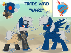 Size: 3760x2804 | Tagged: safe, artist:beardie, oc, oc only, oc:trade wind, oc:ward, oc:ward wind, pegasus, pony, armor, clothes, cutie mark, goggles, high res, jewelry, mask, necklace, reference sheet, solo, wings