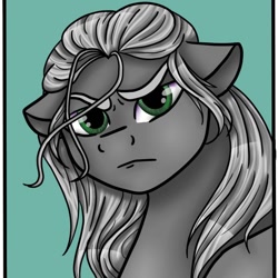 Size: 1080x1080 | Tagged: safe, alternate version, artist:pony_riart, earth pony, pony, bust, frown, geralt of rivia, male, ponified, solo, stallion, the witcher