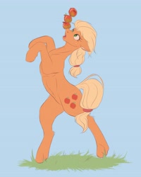 Size: 3277x4096 | Tagged: safe, artist:galinn-arts, applejack, earth pony, pony, g4, apple, balancing, belly, belly button, bipedal, blue background, food, hatless, missing accessory, muscles, ponies balancing stuff on their nose, ribcage, simple background, solo, that pony sure does love apples