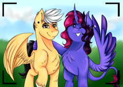 Size: 2888x2052 | Tagged: safe, artist:shamy-crist, oc, oc only, oc:shamy, alicorn, pegasus, pony, alicorn oc, camera shot, chest fluff, ear piercing, earring, female, grin, high res, horn, jewelry, male, mare, pegasus oc, piercing, smiling, stallion, two toned wings, unshorn fetlocks, wing hands, wings