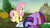 Size: 1920x1080 | Tagged: safe, screencap, fluttershy, twilight sparkle, alicorn, pegasus, pony, g4, the hooffields and mccolts, book, duo, duo female, female, mare, twilight sparkle (alicorn)