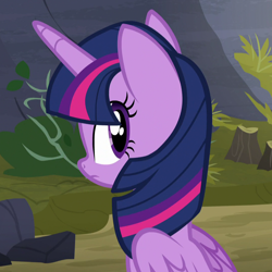 Size: 1080x1080 | Tagged: safe, screencap, twilight sparkle, alicorn, pony, g4, the hooffields and mccolts, cute, female, looking back, mare, sitting, solo, twiabetes, twilight sparkle (alicorn)
