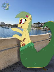 Size: 3024x4032 | Tagged: safe, artist:shappy the lamia, oc, oc:shappy, hybrid, lamia, original species, pony, semi-anthro, arm hooves, beach, brooch, building, fangs, fence, happy, heart, holiday, jewelry, long tail, palm tree, photo, pointing, real life background, realistic, scales, sky, snake tail, summer, text, tree, yacht