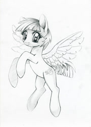 Size: 649x900 | Tagged: safe, artist:maytee, windy whistles, pegasus, pony, g4, grayscale, looking at you, monochrome, pencil drawing, smiling, solo, traditional art