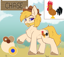 Size: 2925x2616 | Tagged: safe, artist:beardie, oc, oc only, earth pony, pony, hat, high res, reference sheet