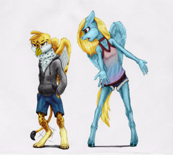 Size: 3946x3524 | Tagged: safe, artist:joestick, editor:vedont, oc, oc only, oc:beaky, oc:brave blossom, griffon, pegasus, pony, anthro, digitigrade anthro, unguligrade anthro, fanfic:yellow feathers, clothes, colored, duo, female, high res, male, standing