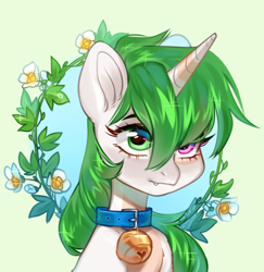 Size: 3562x3670 | Tagged: safe, artist:aphphphphp, oc, oc only, oc:sugarstar, pony, unicorn, bell, bell collar, bust, collar, flower, high res, portrait, simple background, solo
