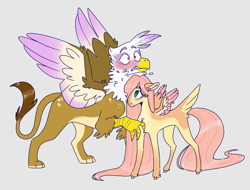 Size: 2048x1558 | Tagged: safe, artist:doodlebetch, fluttershy, gilda, griffon, pegasus, pony, g4, blushing, female, flustered, gender headcanon, gildashy, gray background, lesbian, mare, neck nuzzle, pale belly, shipping, simple background, spread wings, standing, tail feathers, trans female, transgender, wings