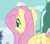 Size: 800x700 | Tagged: safe, screencap, fluttershy, pegasus, pony, season 5, the one where pinkie pie knows, animated, cropped, cute, female, gif, mare, shyabetes, solo