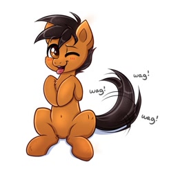 Size: 1196x1219 | Tagged: safe, artist:confetticakez, oc, oc only, oc:puppy, earth pony, pony, behaving like a dog, blushing, one eye closed, open mouth, smiling, solo, sparkly eyes, tail wag, tongue out, wingding eyes, wink