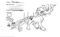 Size: 1244x779 | Tagged: safe, artist:spotted2_paws, oc, oc only, cat, dracony, dragon, hybrid, pony, chest fluff, lined paper, paw pads, paws, reference sheet, solo, underhoof, underpaw