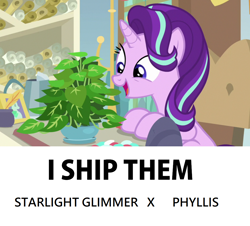 Size: 1026x928 | Tagged: safe, edit, edited screencap, screencap, phyllis, starlight glimmer, pony, unicorn, a horse shoe-in, g4, cargo ship, cute, female, glimmerbetes, i ship it, inkwell, looking at something, mare, open mouth, philodendron, phylliglimmer, potted plant, quill, scroll, shipping, solo, starlight's office