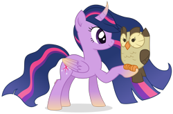 Size: 4905x3213 | Tagged: safe, alternate version, artist:cirillaq, owlowiscious, twilight sparkle, alicorn, bird, owl, pony, g4, alternate design, curved horn, duo, female, high res, horn, male, mare, simple background, smiling, transparent background, twilight sparkle (alicorn), vector
