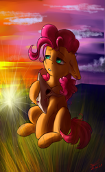 Size: 1061x1738 | Tagged: safe, artist:yuris, oc, oc only, oc:dinky akniet, earth pony, pony, field, mask, pink mane, sadness, sitting, solo, sun, sunset, turquoise eyes
