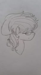 Size: 528x960 | Tagged: safe, artist:aleurajan, oc, oc only, earth pony, pony, earth pony oc, eyes closed, glasses, hat, lineart, solo, traditional art