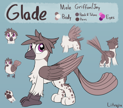 Size: 2600x2300 | Tagged: safe, artist:litrojia, oc, oc only, oc:glade, bird, griffon, butt, chest fluff, griffon oc, high res, male, paw pads, paws, plot, reference sheet, spots, spread wings, standing, tail feathers, two toned wings, underpaw, wings