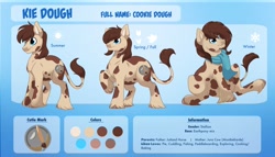 Size: 7000x4000 | Tagged: safe, artist:taylor made, oc, oc:kie dough, cow, cow pony, earth pony, hybrid, pony, chubby, clothes, cow tail, male, reference sheet, scarf, stallion, unshorn fetlocks, weight gain