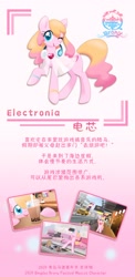 Size: 1500x3074 | Tagged: safe, artist:brony_festival, oc, oc:electronia, china, chinese, photo, qingdao, qingdao brony festival