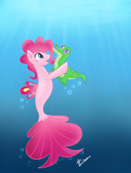 Size: 800x1050 | Tagged: safe, artist:princessmoonsilver, gummy, pinkie pie, alligator, earth pony, pony, seapony (g4), g4, blue eyes, bubble, dorsal fin, female, fish tail, flowing tail, looking up, ocean, open mouth, purple eyes, seaponified, seapony pinkie pie, signature, smiling, solo, species swap, sunlight, swimming, tail, underwater, water
