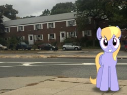 Size: 3264x2448 | Tagged: safe, artist:bluemeganium, artist:topsangtheman, cloud kicker, pegasus, pony, g4, car, high res, house, hyundai, hyundai accent, irl, looking at you, mini cooper, photo, ponies in real life, solo