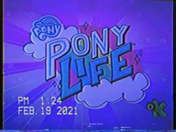 Size: 640x480 | Tagged: safe, screencap, g4.5, my little pony: pony life, discovery kids, discovery kids logo, logo, my little pony logo, photo, picture of a screen, vhs