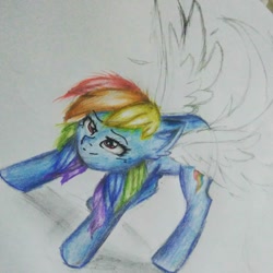 Size: 1080x1080 | Tagged: safe, alternate version, artist:cats_drawings_cos, rainbow dash, pegasus, pony, g4, female, mare, partial color, smiling, solo, traditional art, wings