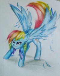 Size: 1080x1350 | Tagged: safe, alternate version, artist:cats_drawings_cos, rainbow dash, pegasus, pony, g4, colored, female, mare, smiling, solo, traditional art, wings