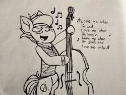 Size: 2560x1920 | Tagged: safe, artist:thebadbadger, oc, oc:hot pop, earth pony, pony, bipedal, double bass, male, musical instrument, stallion, traditional art