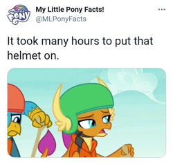 Size: 713x677 | Tagged: safe, edit, edited screencap, screencap, gallus, smolder, dragon, griffon, g4, non-compete clause, dragoness, female, helmet, male, meta, my little pony facts, text, twitter, twitter link