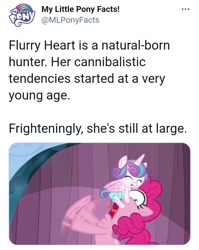 Size: 717x902 | Tagged: safe, pinkie pie, princess flurry heart, g4, the crystalling, meta, my little pony facts, text, twitter, twitter link