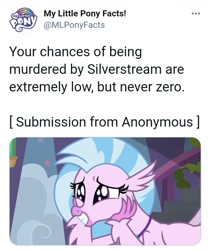 Size: 717x853 | Tagged: safe, silverstream, g4, meta, my little pony facts, ron the death eater, text, twitter, twitter link, your chances are low but never zero