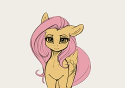 Size: 3020x2128 | Tagged: safe, artist:miokomata, fluttershy, pegasus, pony, g4, female, floppy ears, freckles, freckleshy, high res, looking at you, mare, simple background, solo, wip