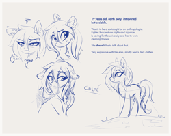 Size: 2880x2298 | Tagged: safe, artist:aureai-sketches, oc, oc only, oc:chloé, earth pony, pony, expressions, female, high res, mare, simple background, sketch, solo
