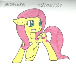 Size: 1010x843 | Tagged: safe, artist:cmara, fluttershy, pegasus, pony, g4, female, gritted teeth, mare, raised hoof, scared, simple background, solo, traditional art, white background
