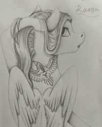 Size: 1080x1350 | Tagged: safe, artist:pony_riart, oc, oc only, pegasus, pony, bust, grayscale, inktober 2020, looking back, monochrome, pegasus oc, signature, tattoo, traditional art, wings