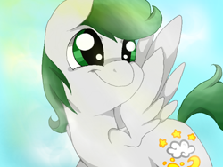 Size: 680x512 | Tagged: source needed, safe, artist:acinaces, oc, oc only, oc:dreamer skies, pegasus, pony, feathered wings, green eyes, green mane, green tail, halfbody, happy, male, multicolored hair, multicolored mane, pegasus oc, silver coat, simple background, smiling, solo, spread wings, stallion, wings