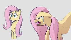Size: 1920x1080 | Tagged: safe, artist:hitsuji, fluttershy, pegasus, pony, g4, angry, crying, gray background, sad, shocked, simple background