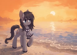 Size: 2032x1462 | Tagged: safe, artist:koviry, part of a set, oc, oc only, oc:somber solace, earth pony, pony, beach, clothes, commission, raised hoof, scarf, scenery, smiling, solo, sun, water, ych result