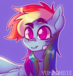 Size: 1080x1122 | Tagged: safe, artist:yumkandie, rainbow dash, pegasus, pony, g4, bandaid on nose, bust, eyebrows, eyebrows visible through hair, no pupils, purple background, scar, simple background, solo, torn ear