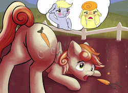 Size: 2688x1957 | Tagged: safe, artist:shaliwolf, carrot top, derpy hooves, golden harvest, oc, oc:clumsy carrot, earth pony, pegasus, pony, g4, adorable face, butt, carrot, commissioner:bigonionbean, cute, cutie mark, embarrassed, extra thicc, female, flank, floppy ears, food, fusion, fusion:carrot top, fusion:derpy hooves, fusion:golden harvest, garden, i just don't know what went wrong, mare, maw, open mouth, plot, shocked, surprised, thought bubble, writer:bigonionbean