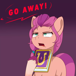 Size: 2800x2800 | Tagged: safe, artist:nihithebrony, sunny starscout, earth pony, pony, g5, angry, book, dialogue, disappointed, female, friendship, friendship journal, gradient background, green eyes, high res, jehovah's witness, looking up, mare, open mouth, purple background, simple background, solo, text, unshorn fetlocks