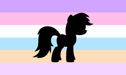 Size: 5000x3000 | Tagged: safe, rainbow dash, g4, comments locked down, ponygender, pride flag