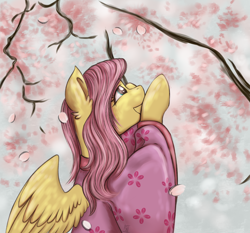 Size: 3000x2792 | Tagged: safe, artist:shamy-crist, fluttershy, pegasus, pony, g4, cherry blossoms, clothes, flower, flower blossom, high res, kimono (clothing), solo