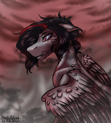 Size: 2894x3207 | Tagged: safe, artist:blackcloud2000, oc, oc only, oc:black cloud, pegasus, pony, high res, male, solo, stallion